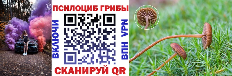 Галлюциногенные грибы мицелий  Таганрог 