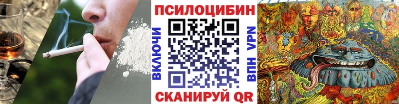 Псилоцибиновые грибы Cubensis Таганрог